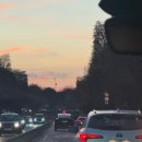 6893 | 파리스냅 가격 레코드파리 밤촬영 후기