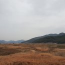 박진농장 이미지