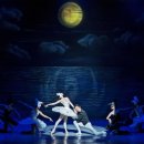 문화회관 이미지