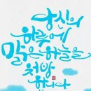 참사랑안경