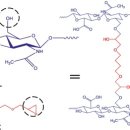 골드제이의원 이미지