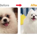 나인코리아 주식회사 이미지