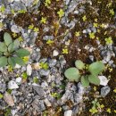 효성농장 이미지