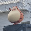 진장올래