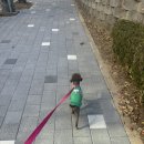 구평동-20 | 구미답례품 쁘띠프레젠 :: 구평동케이크 딸기모찌맛집♥