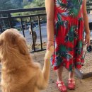 금옥골마을 이미지