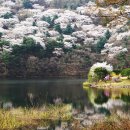 호암미술관 이미지