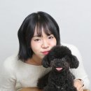 포토이즘울산 - 북구 신답로 40 | 울산 셀프사진관 포토이즘 강아지 동반 가족사진 후기