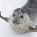 바다PC방 이미지