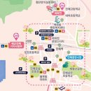 행정용 64 | [창원/진해] 2026 제64회 진해군항제 | 진해군항제 축제 위치 평일 방문 프리뷰 개화 상황 인파 먹거리