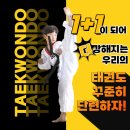 타이탄태권도 이미지