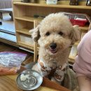 영희목장 이미지