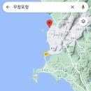 군산연도 서천화력발전소 근처에서 갑오징어 14마리 타작 이미지