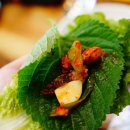 바다산꼼장어 이미지