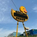 생오리마당 이미지