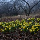 부성농장 이미지