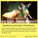 동물 탈놀이 <만보와 별별머리> 이미지
