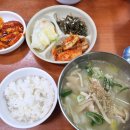 꽃핀자리스넥