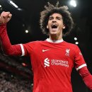 제이든 29 이미지