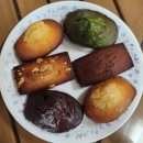 포토덤프 마지막주:행사 재밌었다..