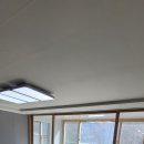 우림 루미아트 이미지