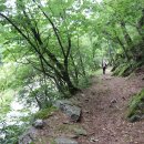 김삿갓휴게소 체험 캠핑장 이미지