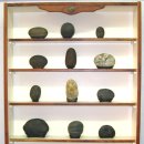 자연+인간+우연 이미지