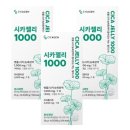 단비쿠키