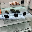 그리오어(Griore) 이미지