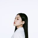 비비인터네셔널