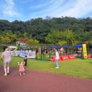 댕댕놀이터 이미지