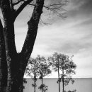 부천 아트벙커 B39 이미지