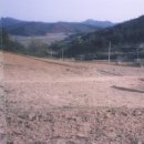 연봉농장 이미지