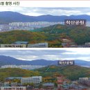 라디체 이미지