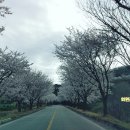남부권 코스 네이버블로그