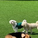 파라다이스유치원 이미지