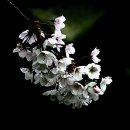 승학체육공원 이미지