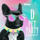 파티앤 캣 이미지