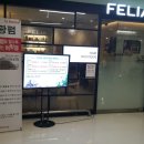 펠리아미용실 이미지