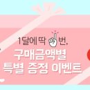 네이처컬렉션광주 - 동구 남문로 689 | 네이처컬렉션광주