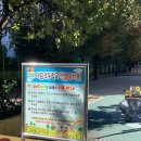 태암초교 병설유치원 이미지