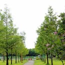 을미기식당 이미지