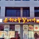 은행나무 갈매기 이미지