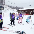 영월스키 이미지