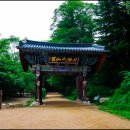 금선다원 | 오대산 월정사