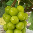 십이령농원 이미지