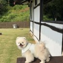 산아래펜션A동 네이버블로그