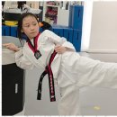 예전태권도 이미지