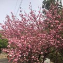 대암둔기로 이미지