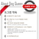 도그퀸 이미지